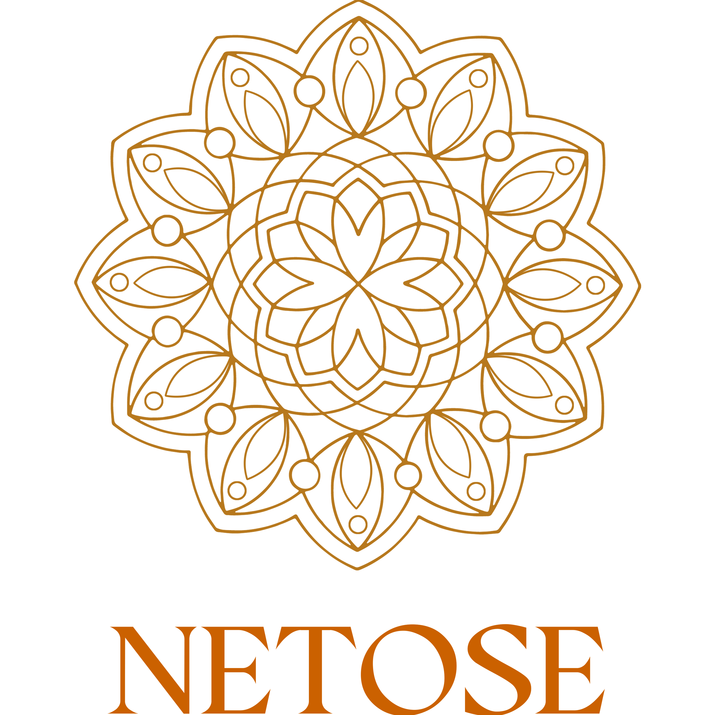 Netose By LakhNeet (I) Private Limited